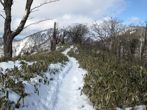 20170118hike (280)